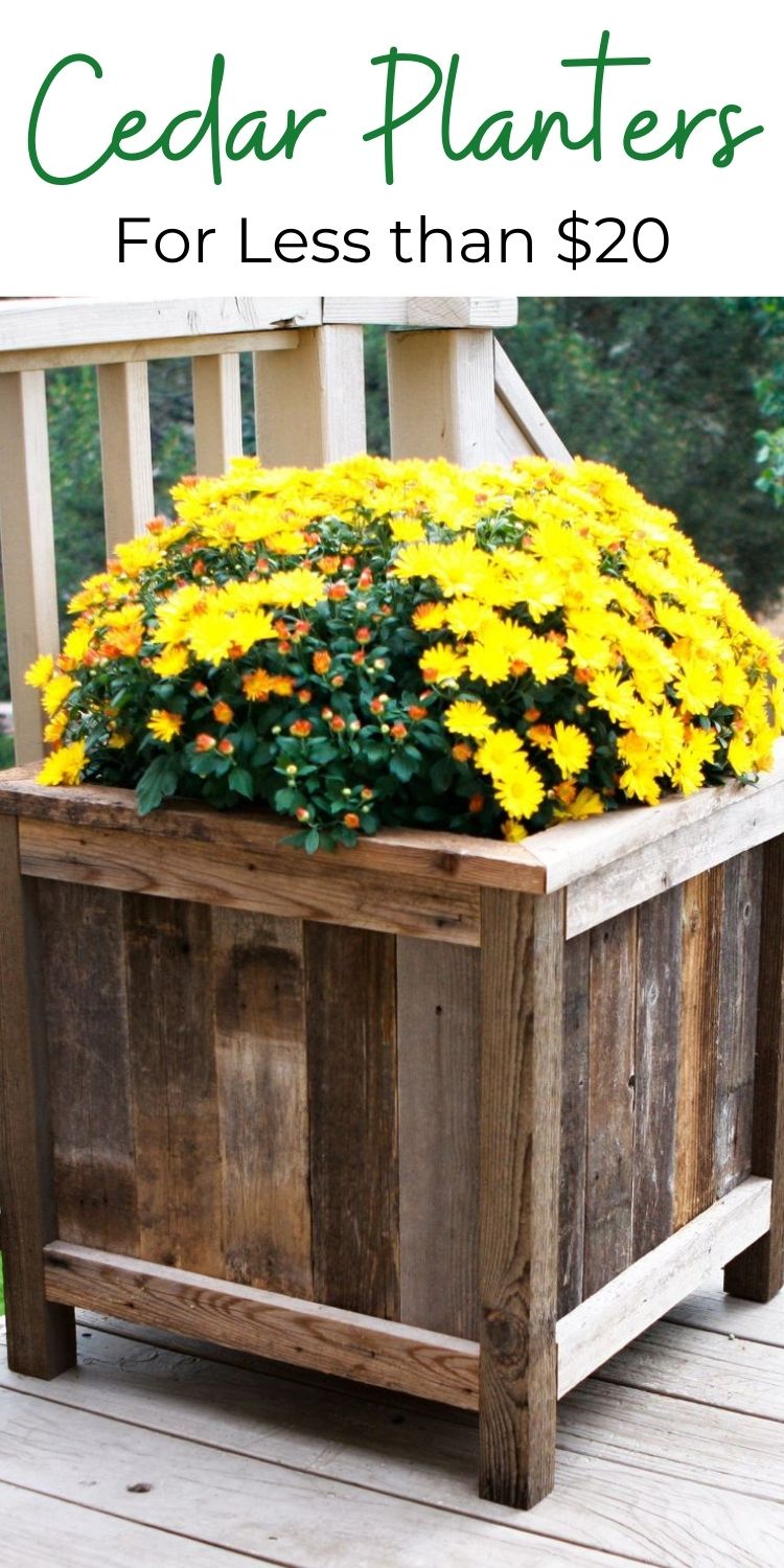 Cedar Planters 